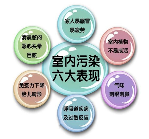 新房怎么去除甲醛